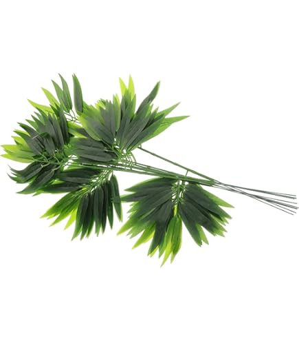 Amazon.co.jp: 小型フレッシュシート 真空パック 竹の葉 天然野生の竹