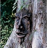 The Spirit of Nottingham Woods: Greenman Tree Sculpture [並行輸入品]