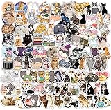 100枚のかわいい猫のステッカー、ビニールステッカー 子供 男の子 ティーン 女の子用 漫画ステッカー ノートパソコン 電話 水筒 荷物 フラスコ 自転車 カップ タブレット コンピューター 車用