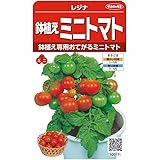 サカタのタネ 実咲野菜0171 鉢植えミニトマト レジナ 00920171