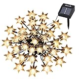KEDSUM ストリングライト ソーラー充電式 30LED 6Ｍの雪花型 防滴仕様ガーデンライト お庭やベランダ/玄関/お店周り/広場/街路樹/クリスマス/パーティー/結婚式などの装飾用