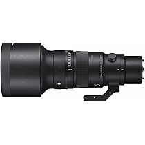 極上美品 SIGMA 150-600mm F5-6.3 DG DN ソニー用 シグマ 150-600mm F5-6.3 DG DN OS [ソニーE用] 価格比較 - 価格.com
