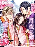 月夜に姫は攫われて～忘れじの平安恋物語～ (夢中文庫プランセ)