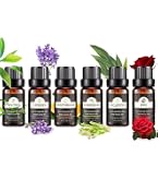 Amazon.co.jp: 生活の木 エッセンシャルオイル 5ml 12本セット アロマ