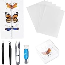 Amazon | TVETE 標本ツール 蝶 昆虫 標本キット 【7点セット】再利用