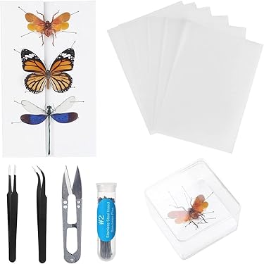 蝶の標本セット 12体 Amazon | TVETE 標本ツール 蝶 昆虫 標本キット 【7点セット】再利用