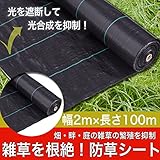 防草シート 2m×100m 雑草防止シート 養生シート 畑 畔 庭 通路 建築現場 雑草 繁殖 抑制