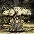 MAN WITH A MISSION「Tales of Purefly(通常盤)」