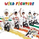 WiLD-FiGHTERS[��������B]