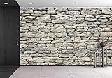 wall26 自己粘着壁紙大型壁画シリーズ 100"x144" WMR-WP-X-D684-100x24x6
