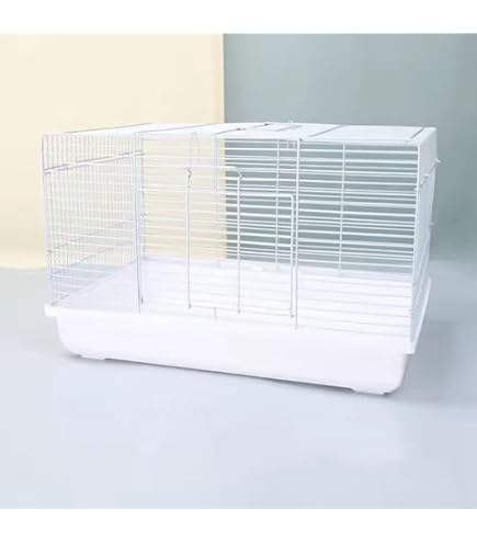 Amazon | Sanko SANKO C79 シャトルマルチ50 ホワイト | Sanko | 飼育