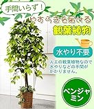 お手軽観葉植物(人工観葉植物)　ベンジャミン インテリア 置物・掛け時計 ab1-1022738-ah [簡素パッケージ品]