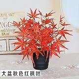 植物のシミュレーション盆栽植物鉢植えプラスチック装飾小さなPotted Plants 6955646465956