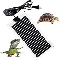 爬虫類ゲージ（61.5×46.5×33）（パネルヒーター付） 61hMxArxOFL._AC_UL210_SR210,