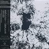 ���}�̓S��