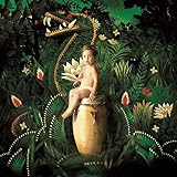 �A�E�F�C�N�j���O