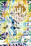 ドラゴンボールスーパーダイバーズ SDV3-062 ベジータ：DA SR
