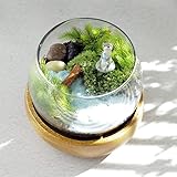 [GRACE HOME] 苔テラリウム 手作りキット カワウソ 付き 苔 箱庭 フィギュア付き 日本製