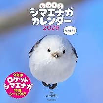 シマエナガ Amazon.co.jp: もふっとシマエナガ 卓上カレンダー2026