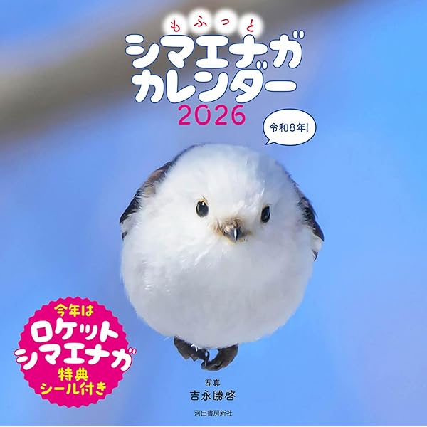 Amazon.co.jp: まいにち、シマエナガ ポストカードブック ([バラエティ