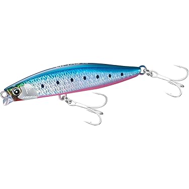 Amazon.co.jp 最新リリース: シーバス・ヒラメルアー の新着ランキング