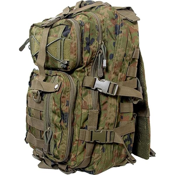 未使用級✨　ロンハーマン　CORDURA　リュック　希少カラー　カモフラ　迷彩 未使用級✨ ロンハーマン CORDURA リュック 希少カラー カモフラ