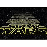 壁紙 輸入壁紙 紙 ドイツ製 スターウォーズ Star Wars Intro 8-487 壁紙単品/Z3K