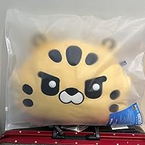 Amazon.co.jp: LE ERAFIM fim's club クッション チェウォン