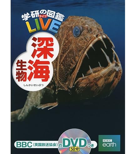 Amazon.co.jp: ZHONGXIN MADE リアルなカンブリア紀の古代生物奇妙な