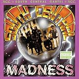 �T�E�X�E�Z���g�����̋��C