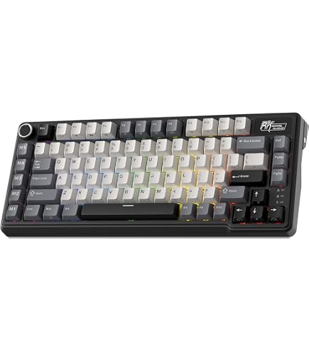 Amazon | RK ROYAL KLUDGE X87 メカニカルキーボード 75% 有線