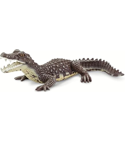 Collcta アメリカンアリゲーター rdzdsi3 Amazon.co.jp: Collcta アメリカンアリゲーター よこ17.6cm×たて