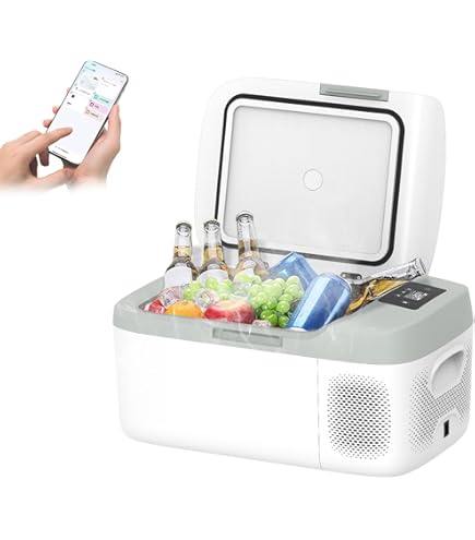 Amazon.co.jp: ポータブル冷蔵庫 20L 車載冷蔵庫 バッテリー付き −20