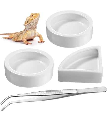 Anti-Escape Ceramic Reptile Food Bowl With High Rim And Anti-Slip