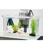 Amazon | カインズ(CAINZ) 育成キット L 23L ホワイト はじめての金魚