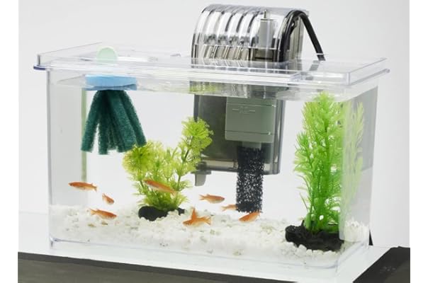 大特価 水槽おしゃれインテリア熱帯魚金魚ホワイトガラス屋内装飾滝キットmountainvi 熱帯魚 アクアリウム用品 Victorsidoni Com Br 大特価 水槽おしゃれインテリア熱帯魚金魚ホワイトガラス屋内装飾滝キットmountainvi 熱帯魚 アクアリウム用品 Victorsidoni Com Br