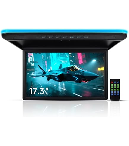 Amazon.co.jp: Absolute DFL4008IRG 9.5-Inch TFT-LCD Overhead Flip
