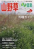 山野草とミニ盆栽 2007年 11月号 [雑誌]
