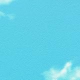 リリカラ 壁紙21m ナチュラル キャラクター ブルー LL-8377