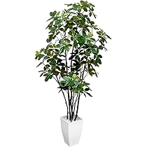 Amazon｜RAKU フェイクグリーン カポック 約125CM 観覧植物 人工観葉樹