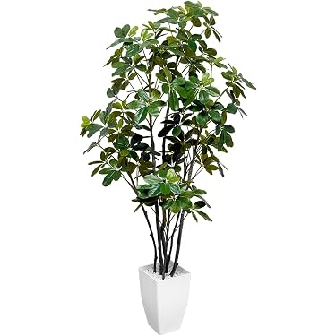 Amazon.co.jp 売れ筋ランキング: 人工観葉植物 の中で最も人気のある Amazon.co.jp 売れ筋ランキング: 人工観葉植物 の中で最も人気のある
