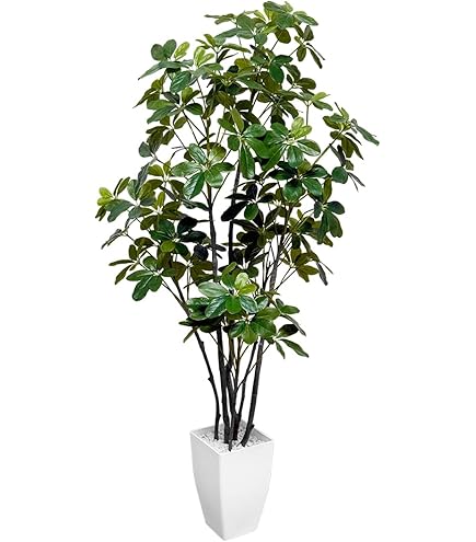 Amazon｜光触媒観葉植物 トネリコ1.8〔フロアタイプ〕 インテリア