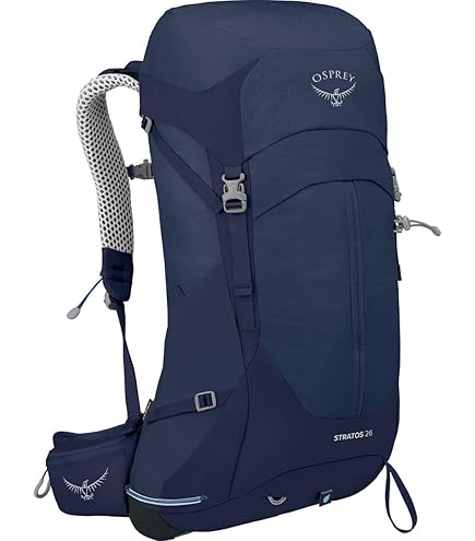 Amazon.co.jp: オスプレー ケストレル 38 ピコリーヌグリーン S