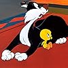 ルーニー・テューンズ - 『トゥイーティー＆シルベスター』シルベスター・キャット (Sylvester Cat),トゥイーティー (Tweety Bird) iPad壁紙 119864