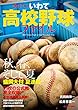 2017世代 いわて高校野球ファイル