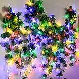 BlueFire Outdoor 200 LED String Lights 72 ft /22m DC Power Waterproof Decorative Light with 8 Workin