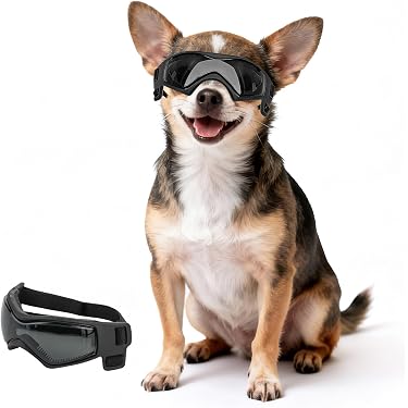 Amazon.co.jp 売れ筋ランキング: 犬用サングラス の中で最も人気のある