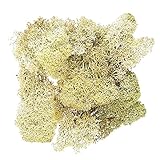 大地農園 プリザーブドフラワー アイスランドモス 大箱 500g(500g入り) N DO61073-000