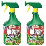 アース製薬 アースカマイラズ 700ml ポンプ(草消滅) ×2本