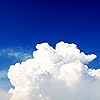 絶景 Ipad壁紙 ネモフィラの咲く丘 その他 スマホ用画像 絶景 Ipad壁紙 ネモフィラの咲く丘 その他 スマホ用画像
